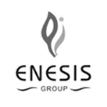 Enesis